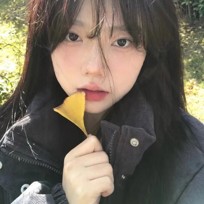 天机十二宫第二季